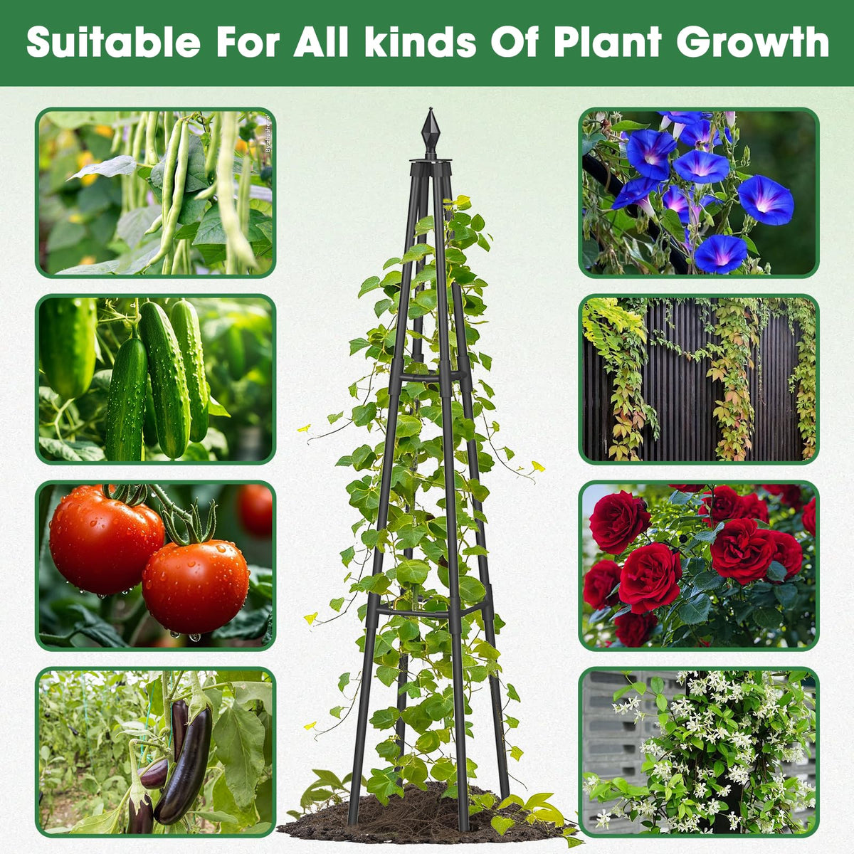 CL FUN Obelisk trellis thickened iron resists weather and decay.