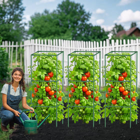CL FUN plant clips securing vines for tidy growth