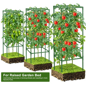 CL FUN garden wire roll in use to anchor growing tomato branches