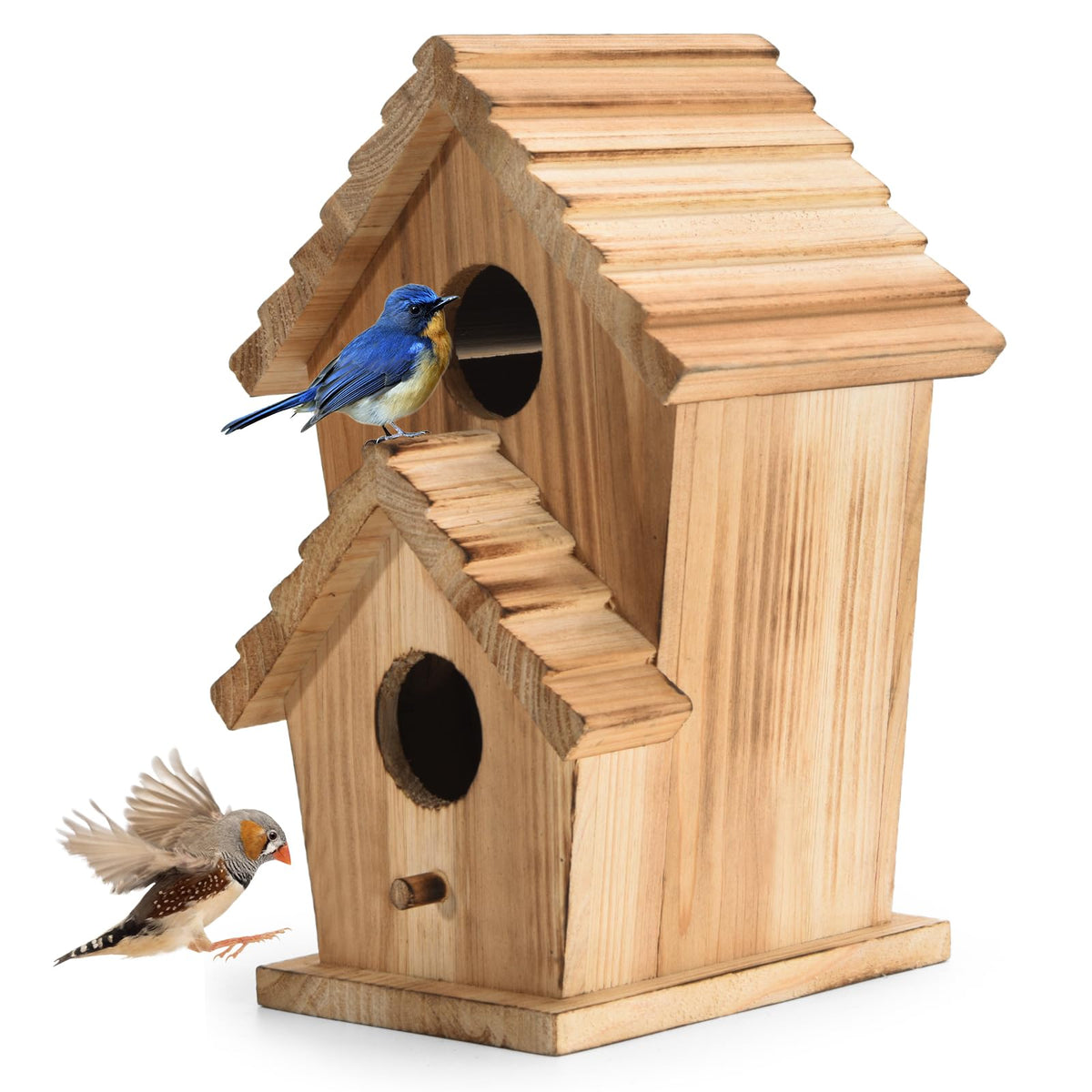 CLACKIBUKVYZ bird house front view showing two-hole design for multiple bird families