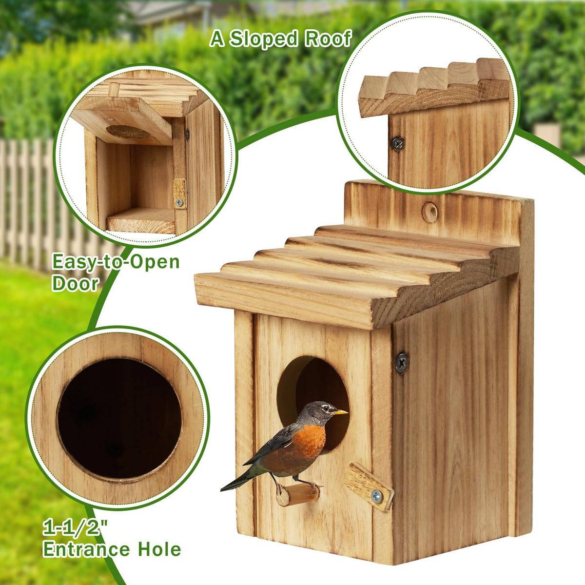CLACKIBUKVYZ bluebird house with perches invites garden visitors.