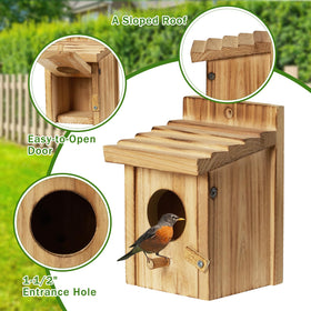 CLACKIBUKVYZ bluebird house with perches invites garden visitors.