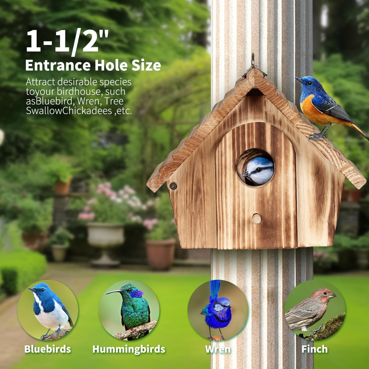 CLACKIBUKVYZ easy-clean-door enables quick maintenance after nesting.