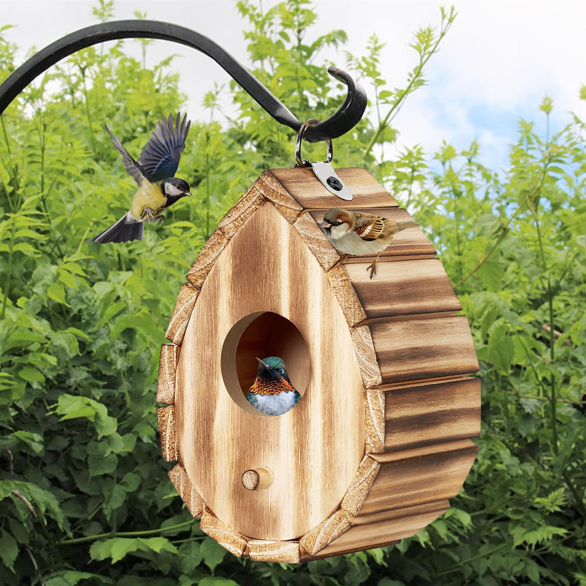 CLACKIBUKVYZ hummingbird house outer view highlights natural wood and inviting nesting.
