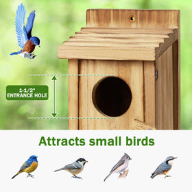 CLACKIBUKVYZ wooden birdhouse front door for easy cleaning.