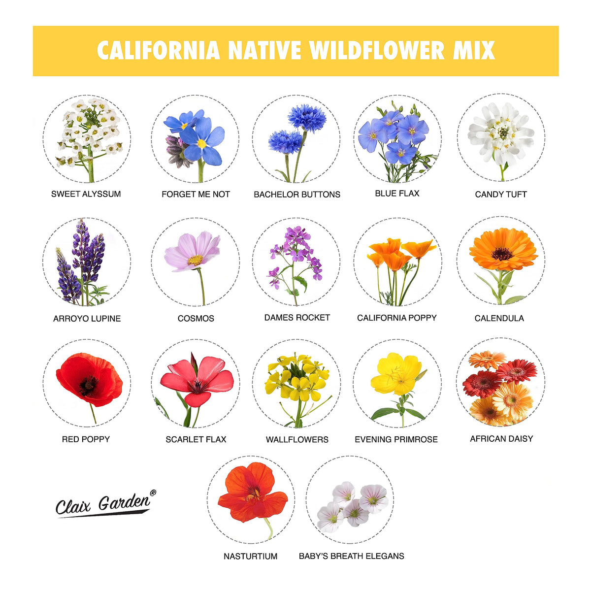 Claix Garden includes Nasturtiums, Poppies, Lupines and Daisies for eye-catching color.