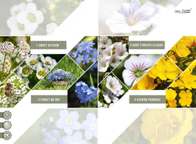 Claix Garden open-pollinated, non-GMO seeds for reliable germination.