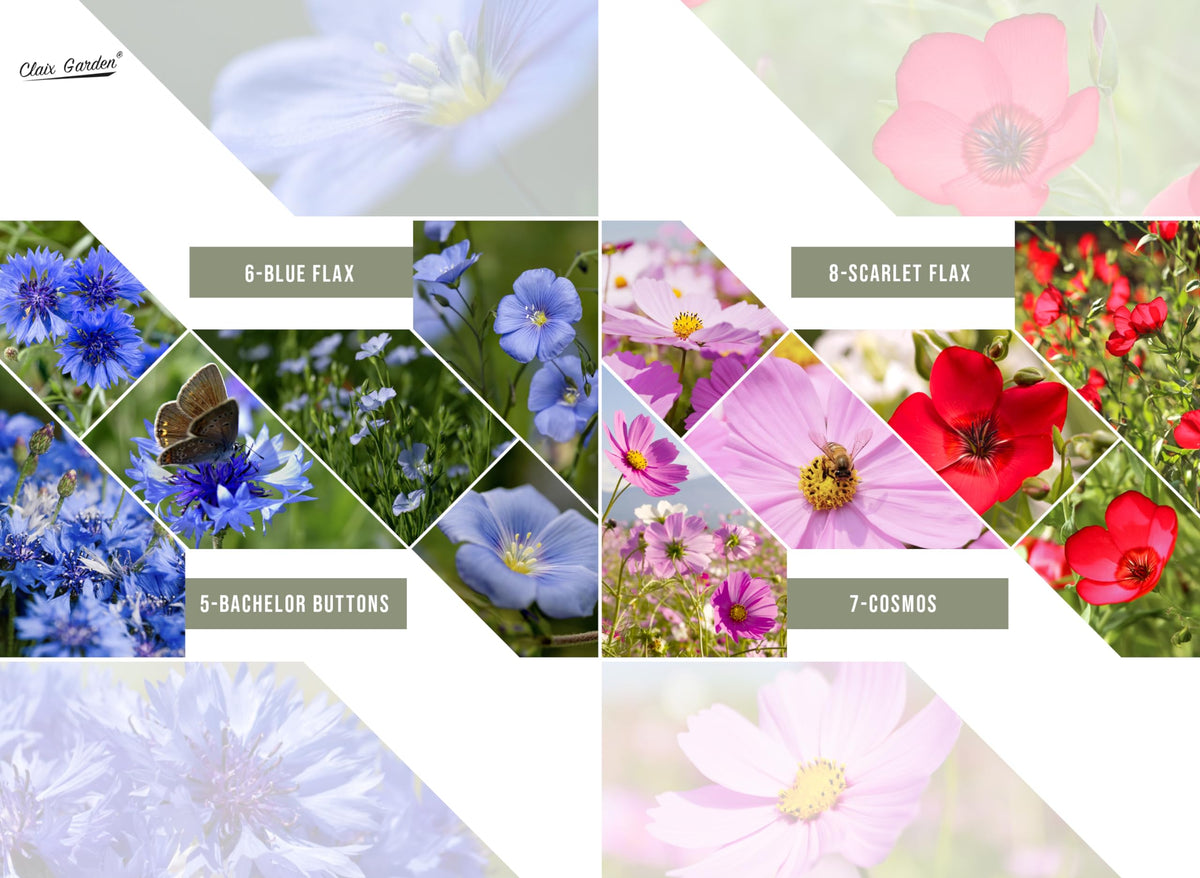 Claix Garden combines perennial and annual blooms for lasting garden color.