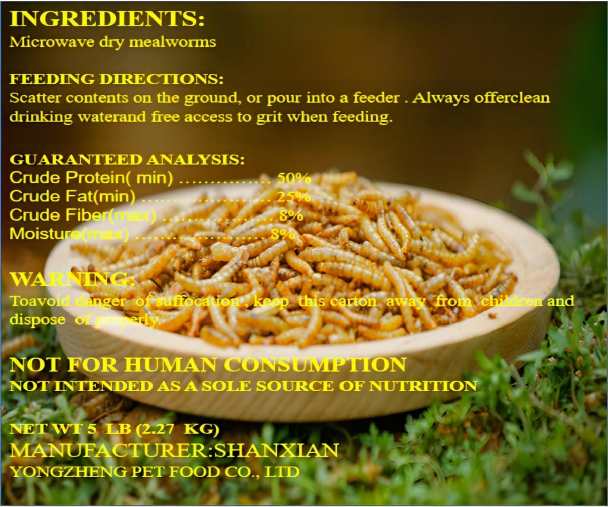 Classic Flock 5lb dried mealworms shown in a feeding cup for birds.