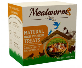 Classic Flock 5lb dried mealworms in open bag, high-protein treat for chickens.