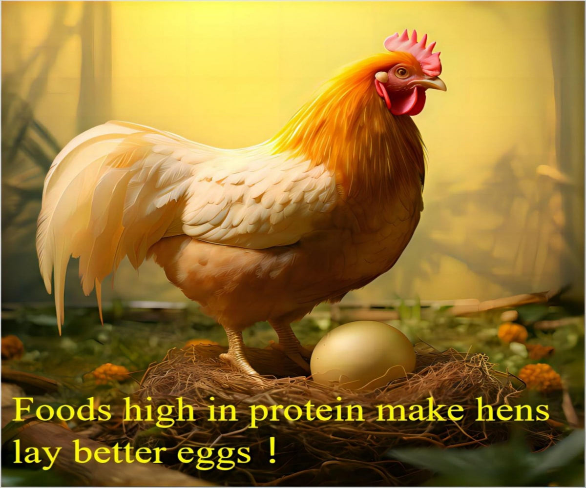 Classic Flock 5lb dried mealworms added to a reptile enclosure for protein.