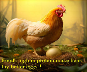 Classic Flock 5lb dried mealworms added to a reptile enclosure for protein.