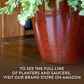See full dimensions in product images for layout planning.