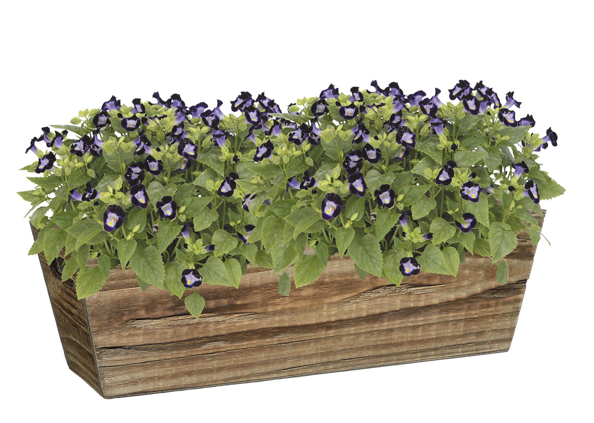 Buffalo Brown window box interior liner detail protects surfaces during planting.