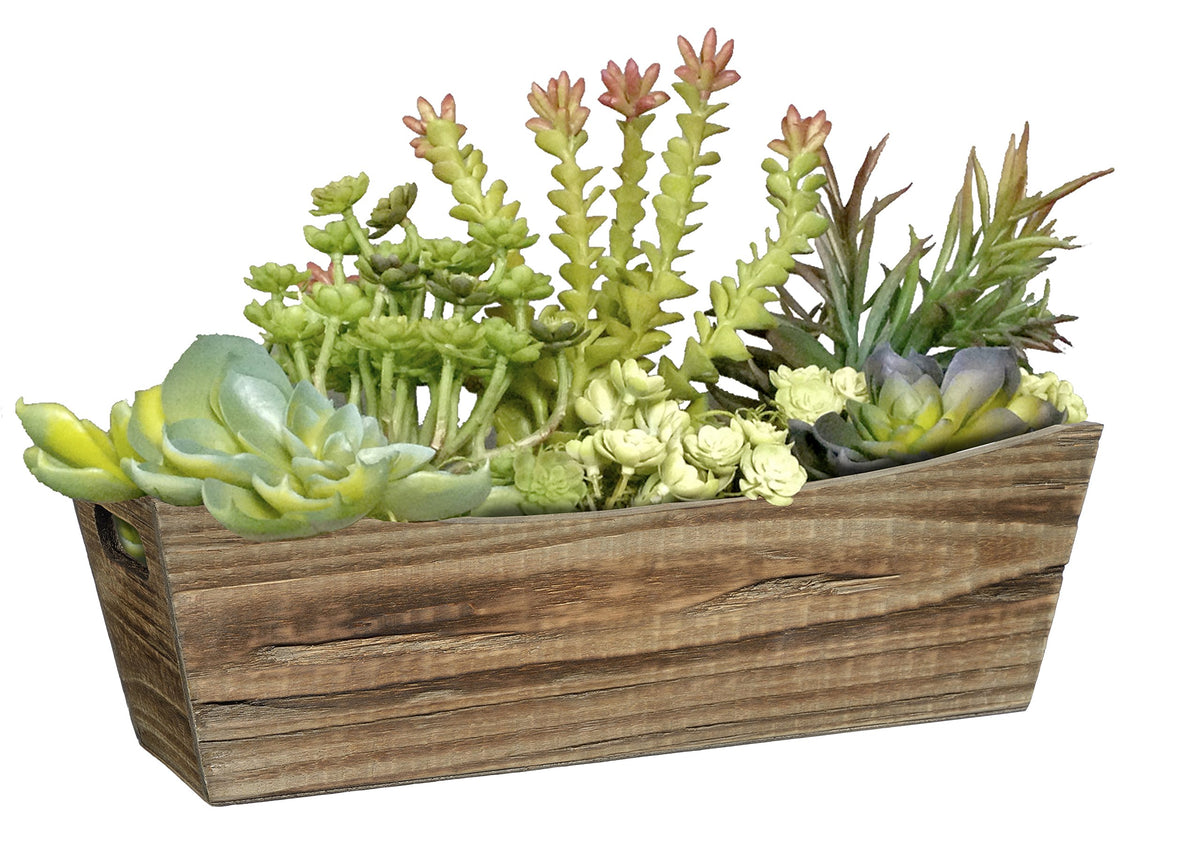 Window box showcasing planting groups of succulents and flowers for curb appeal.