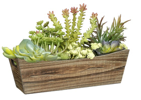 Window box showcasing planting groups of succulents and flowers for curb appeal.