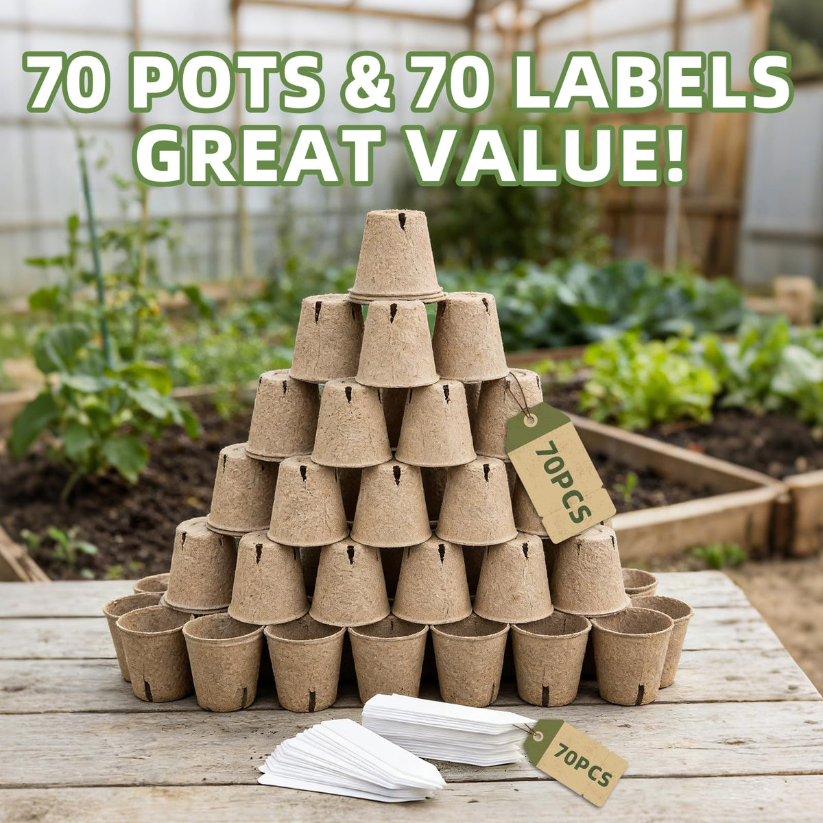 Biodegradable material from CLEANGOR pots breaks down into soil-friendly compost.