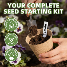 CLEANGOR biodegradable pots show breathable walls for healthy root growth.