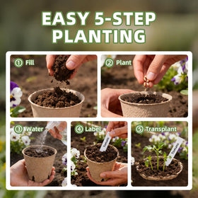 CLEANGOR pots illustrate a beginner-friendly five-step planting guide.