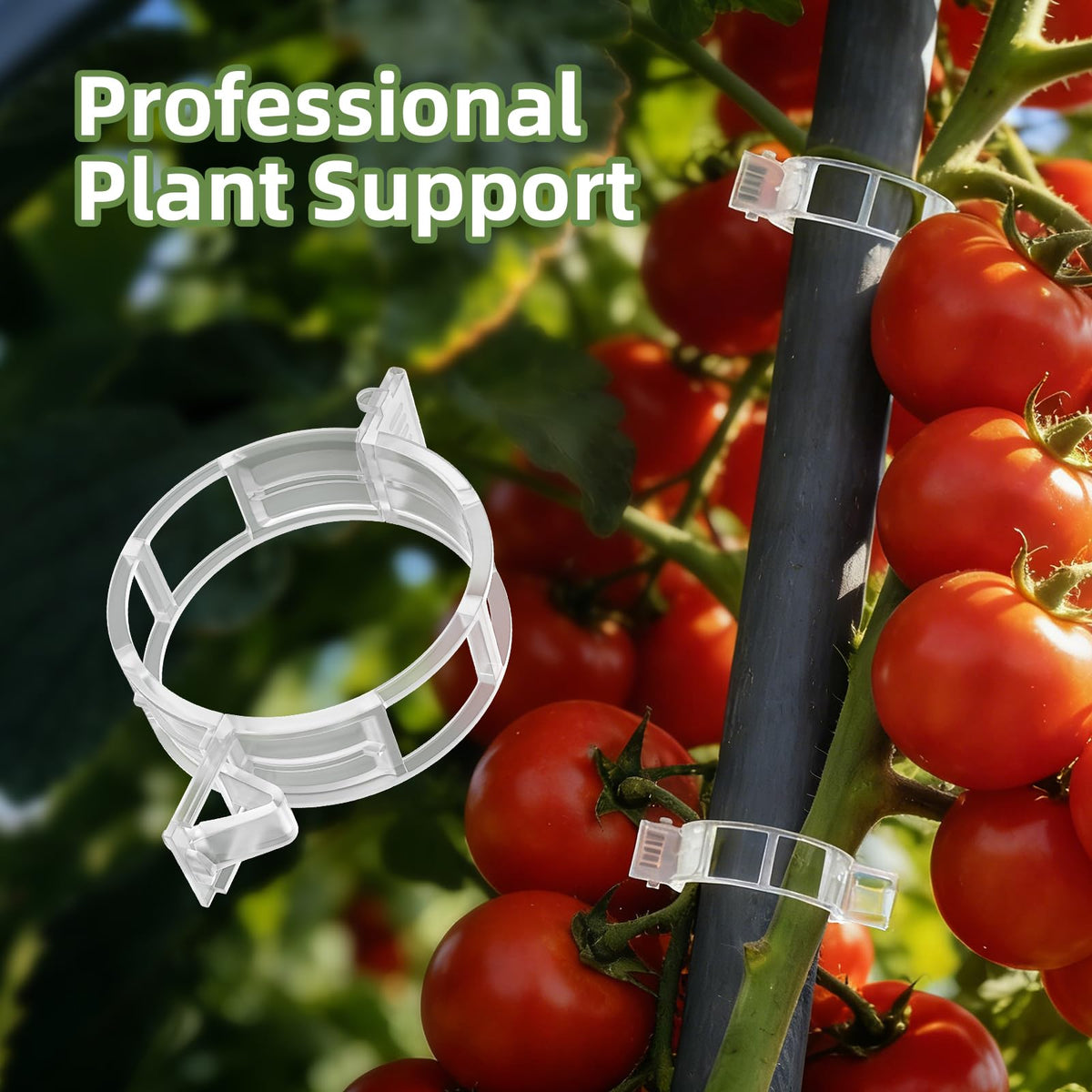 CLEANGOR plant clips fastening cucumber stems to supports to reduce ground contact