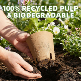 CLEANGOR pots accommodate herbs, vegetables, and flowers for versatile use.