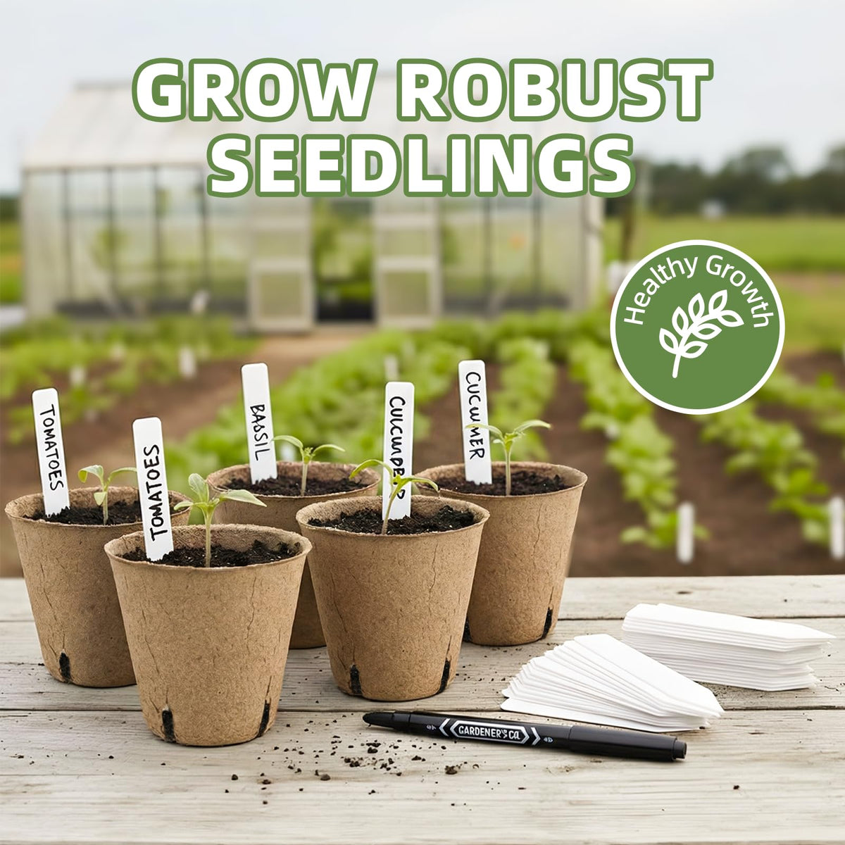 Drainage holes in CLEANGOR seed starter pots help prevent overwatering.