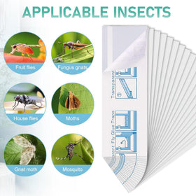Cleanuper transparent design trap on glass blends in while catching insects.