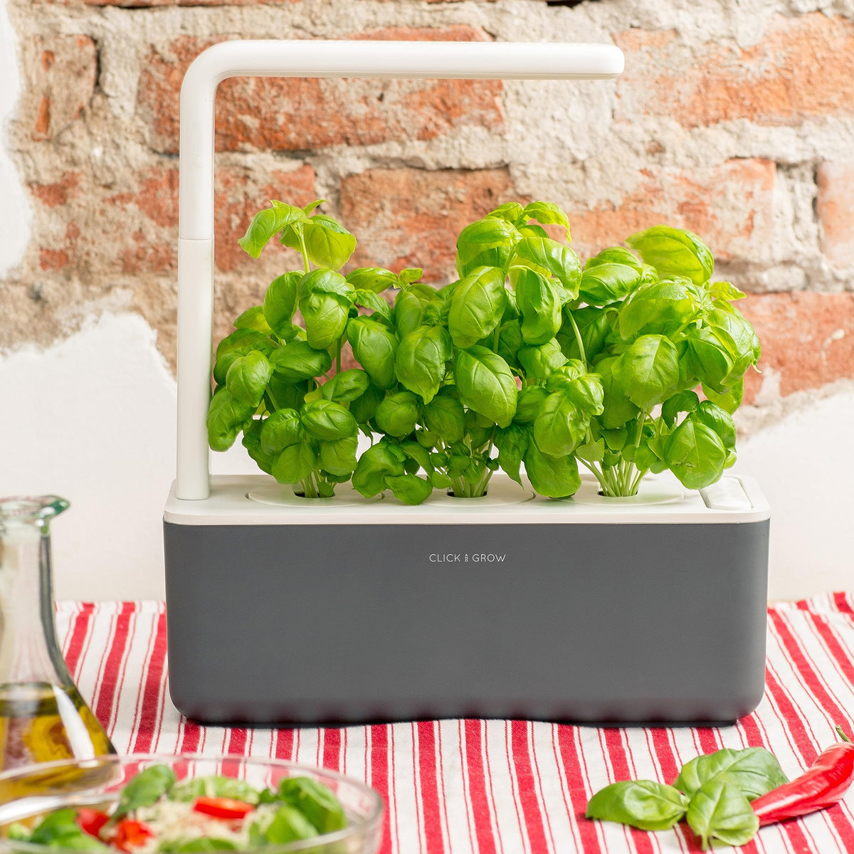 Click and Grow basil pod germination progress in 7–21 days.