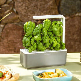 Indoor herb garden with Click and Grow basil pods.