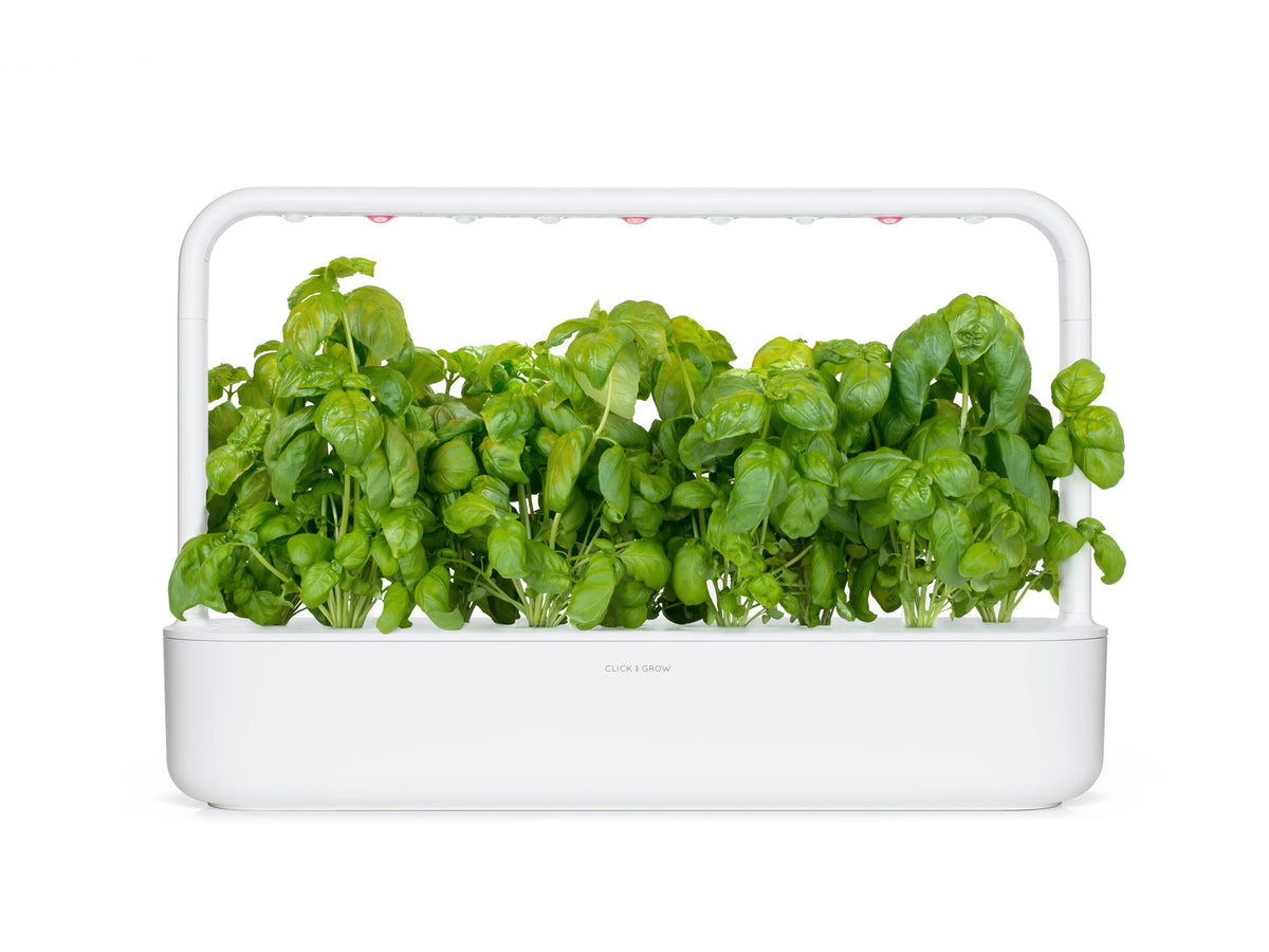 Non-GMO basil seeds from Click and Grow for natural flavor.