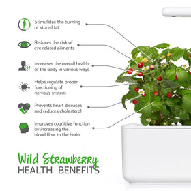 Packaging note indicating no plastic cups or germination domes included.