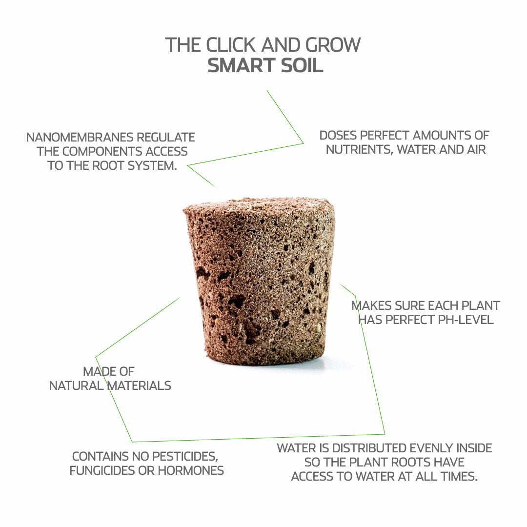 Click and Grow parsley pod germination timeline with sprouts.
