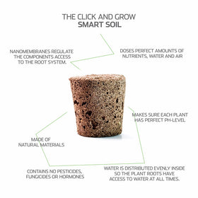 Click and Grow parsley pod germination timeline with sprouts.