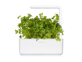 Click and Grow parsley pod leaves close-up, vibrant herb for garnish.