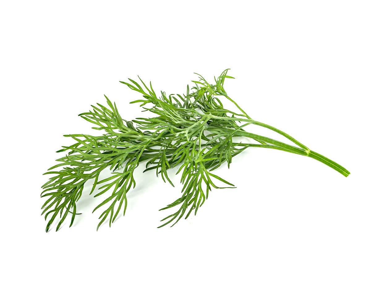 Click and Grow Smart Garden setup with dill pods ready to plant