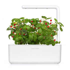 Click and Grow Smart Garden water tank being filled for continuous moisture.