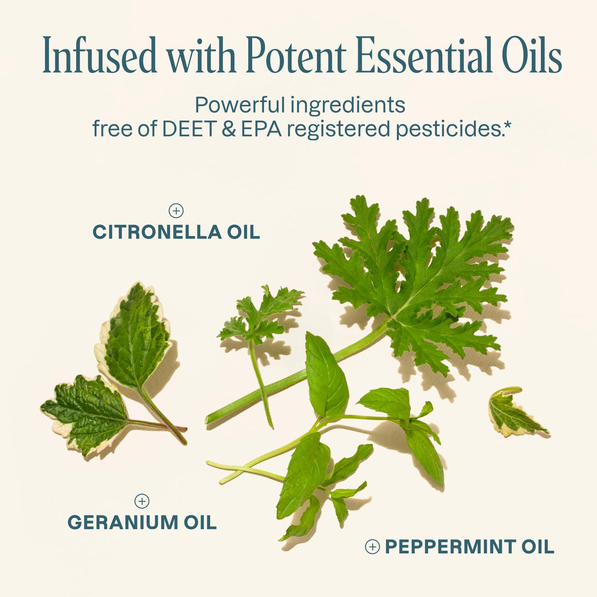 Cliganic cruelty-free logo indicating plant-based, DEET-free protection