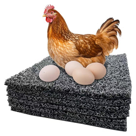 CLOCAL nesting pad features soft egg support and a non-slip base for stable laying.