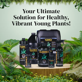 Clonex Clone Solution supports rapid root development for successful propagation.