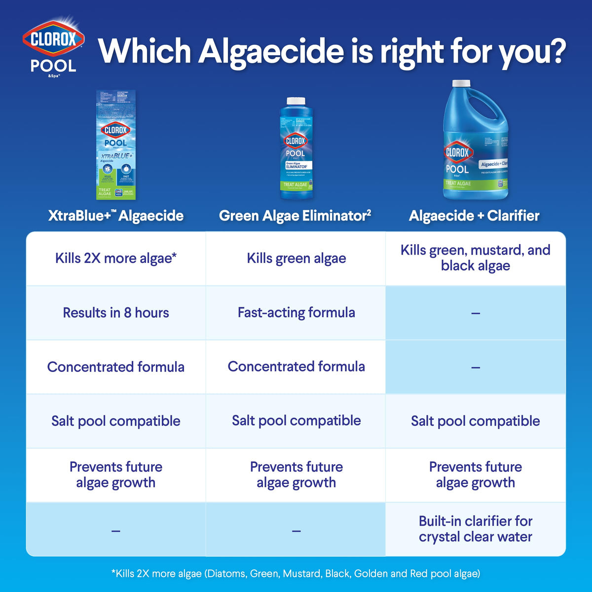 Clorox Pool&Spa algaecide clear-water image signaling faster water clarity.