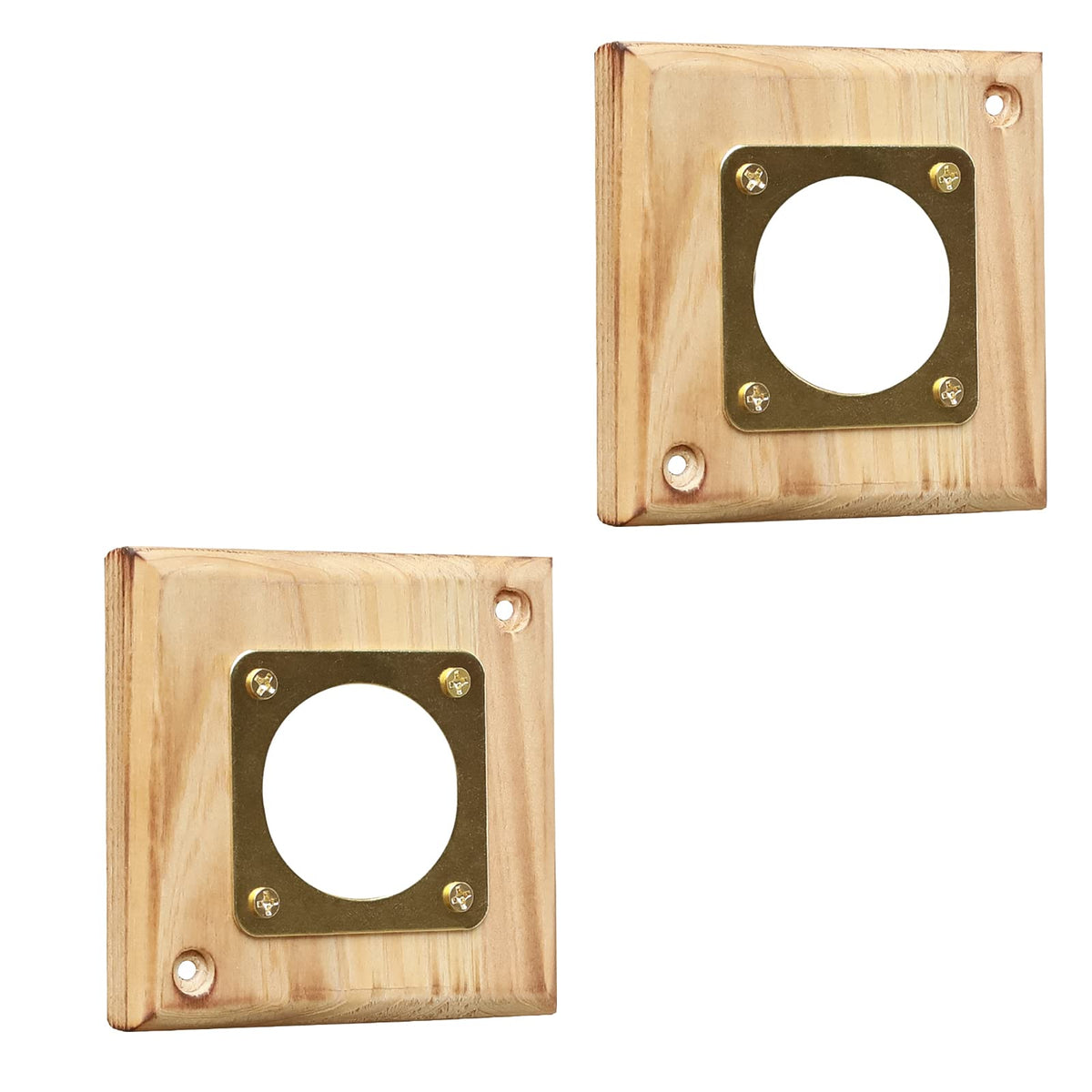 Cloud Fragrant Bluebird Predator Guard wooden back detail blends with natural boxes.