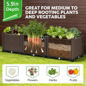 CloudDream spacious garden bed supports vegetables, herbs, and flowers