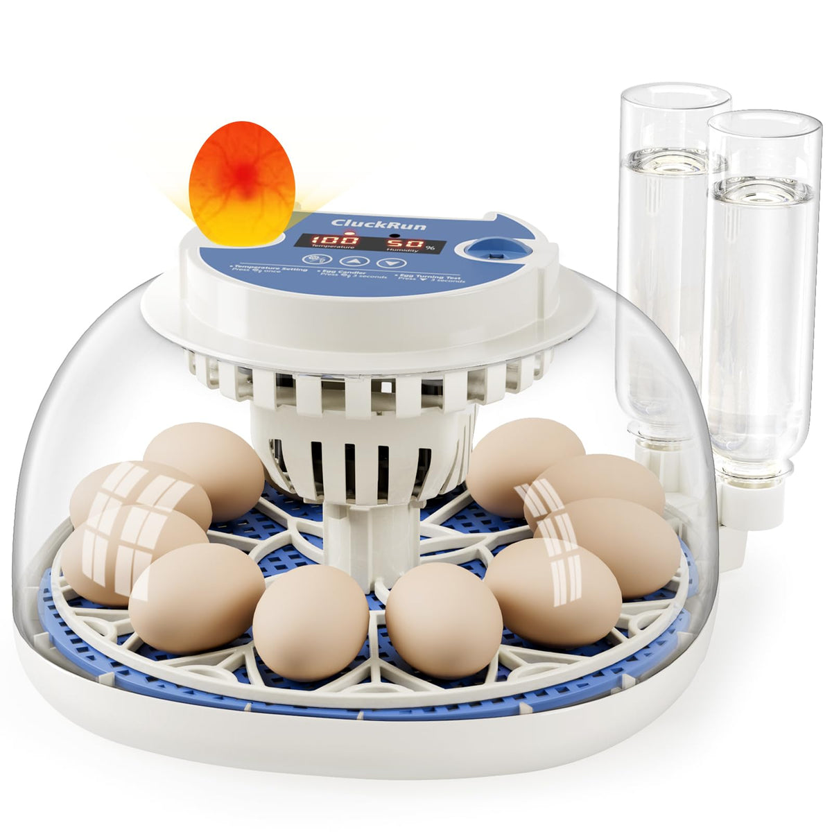 CluckRun 12-egg incubator digital display shows temperature and humidity for precise control.