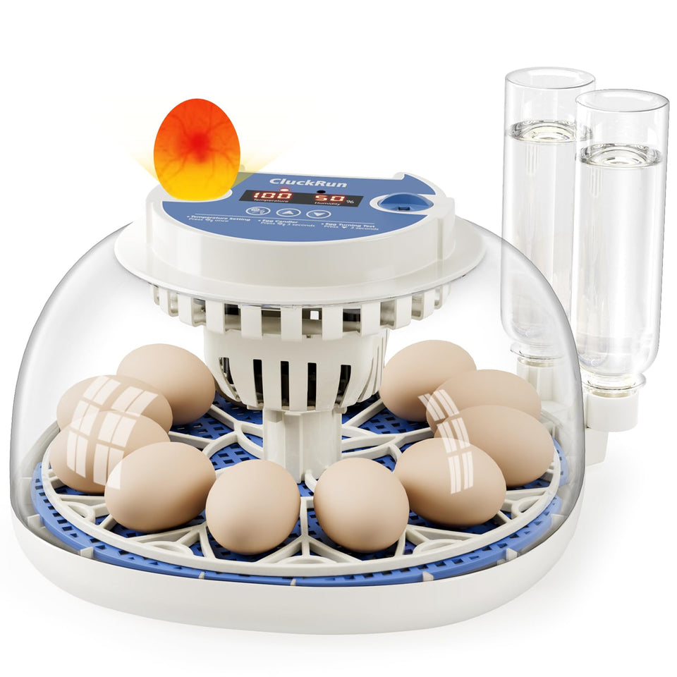 CluckRun 12-egg incubator digital display shows temperature and humidity for precise control.