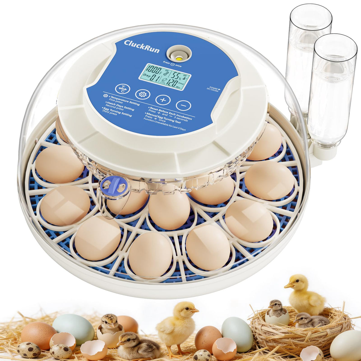 CluckRun 18-egg incubator front view with control panel and countdown timer