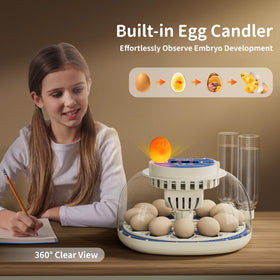 CluckRun 360° airflow system distributes heat and humidity evenly.