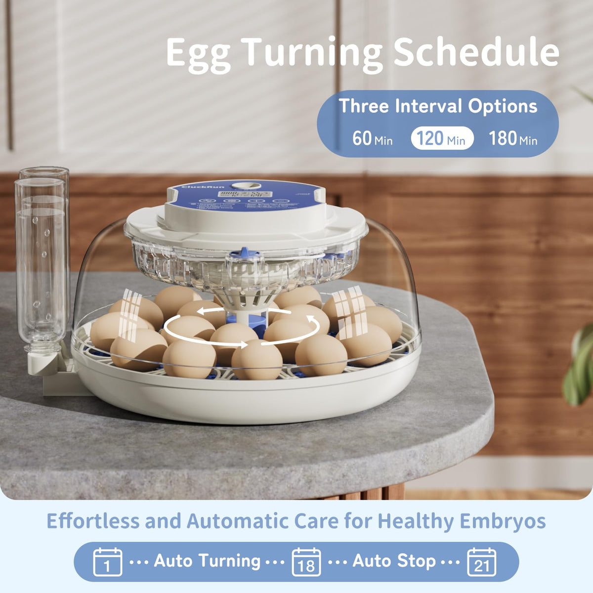 CluckRun 360-degree airflow ensures even temperature and humidity