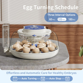 CluckRun 360-degree airflow ensures even temperature and humidity