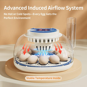 CluckRun automatic egg turner mimics hen behavior for even embryo development.