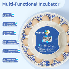 CluckRun built-in egg candler for spotting non-fertile eggs